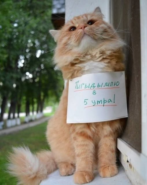 Завалялось тут случайно немного забавных картинок