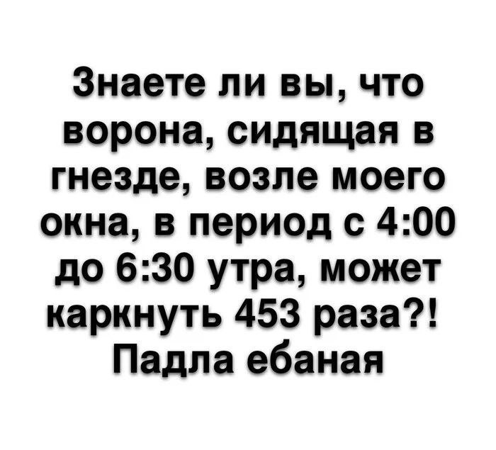 С добрым утром ЯП