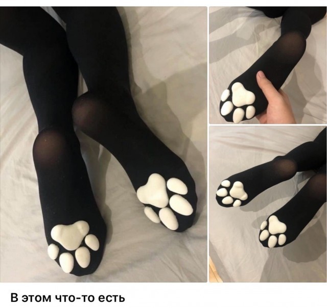 Весёлый полтишок 13.07.25