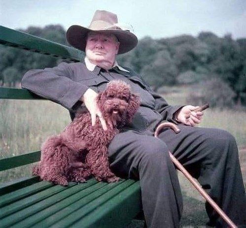 Еще ретрофото знаменитостей.