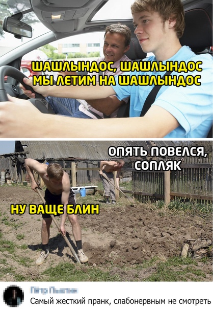 Картинки для деградации 3 (разной степени свежести)