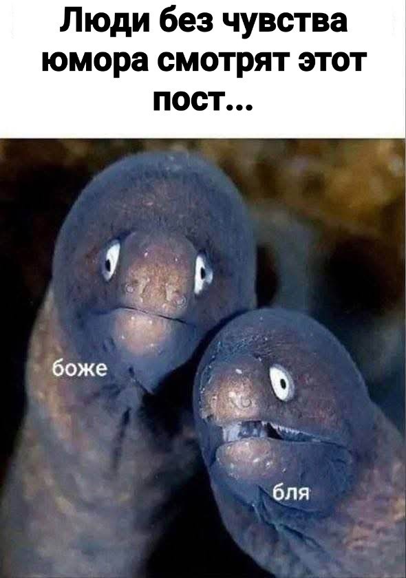 Последняя маленькая пятница августа.