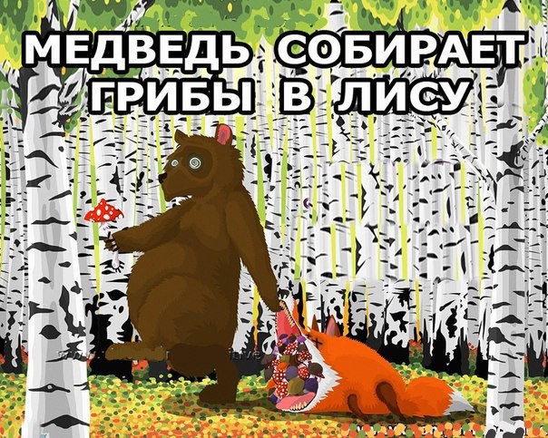 Едят ли медведи грибы?