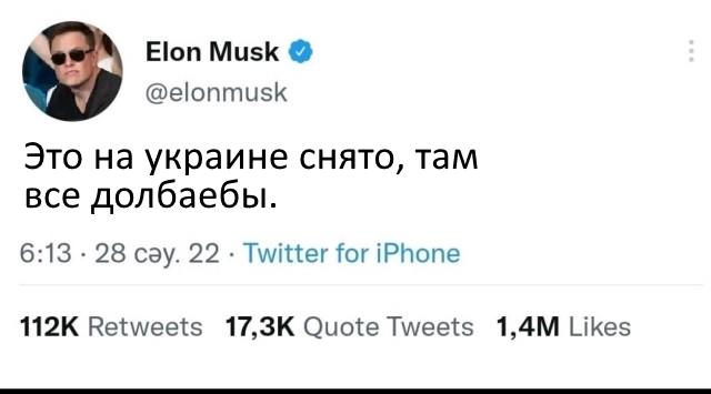 На Украине после широкой огласки вернули хозяйке "мобилизованного" кота