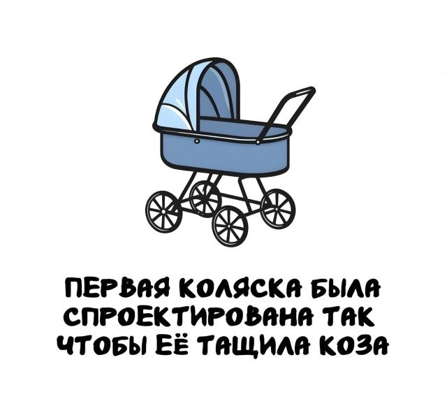 Подборка интересных фактов на все случаи жизни 26.11.25