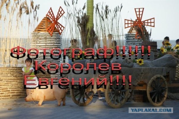 4 выстраданных правила фриланса⁠