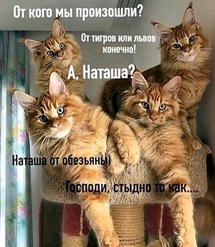 Картиночки, баянчики 18 марта