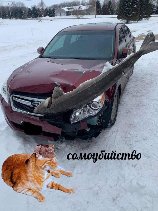 Немного картинок на ночь