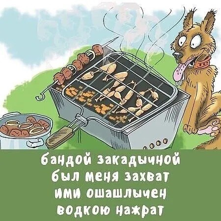 Картинки для деградации 211 (разной степени свежести)