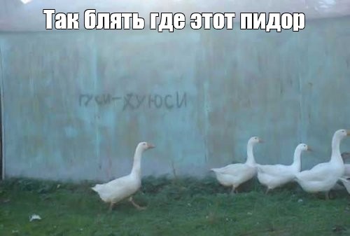 Пляжная мафия
