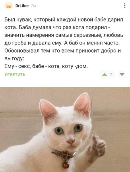 Так себе картинки 30.06.26