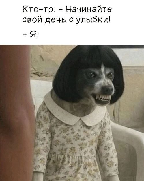 Картинки для деградации 243 (разной степени свежести)