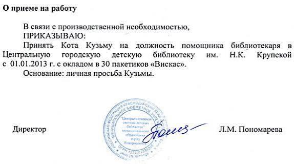 Всегда так коту говорю