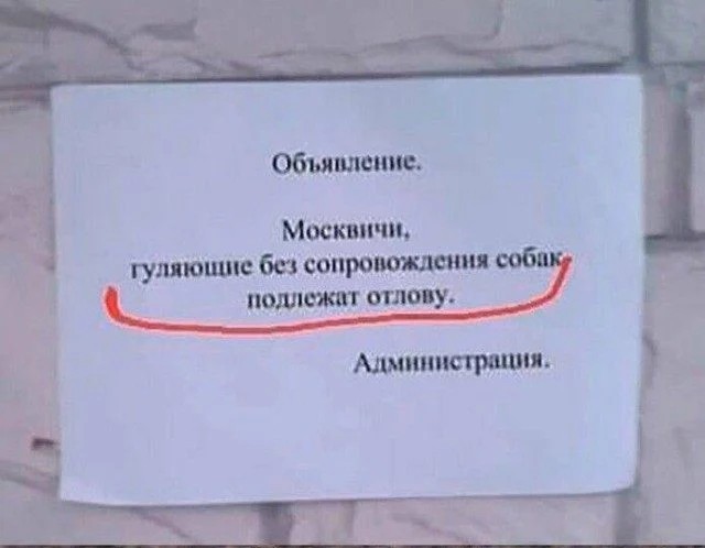 Так себе картинки 14.09.26