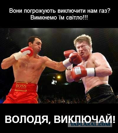 Онищенко и бокс