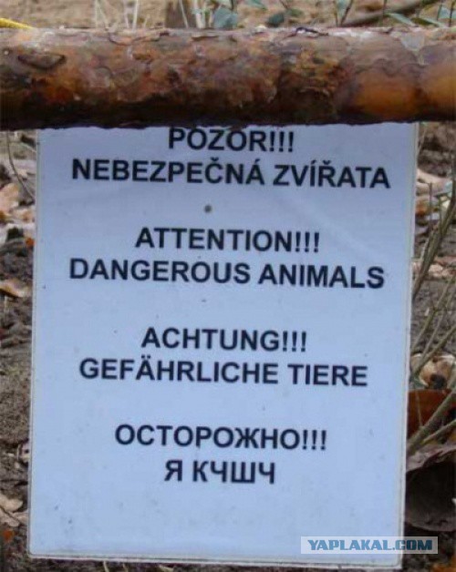 Русский и не русский