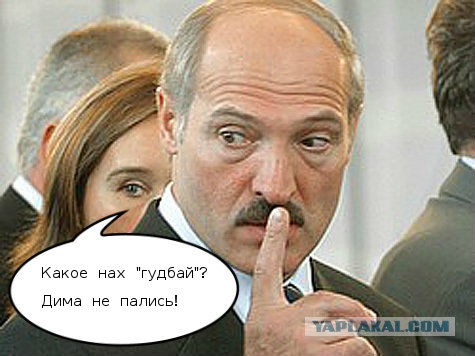Губернатор где у вас?.. гудбай