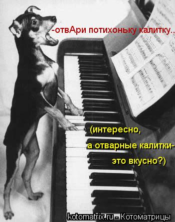 Любителям хитросплетений русского языка