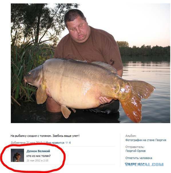 Смешные комментарии из социальных сетей #2