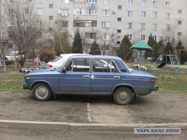 Конь вишнёвого цвета