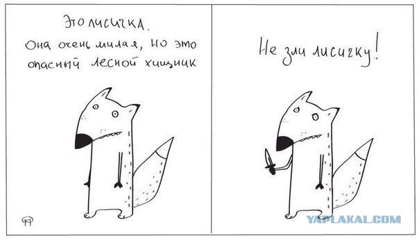 А котик удачно пристроился!