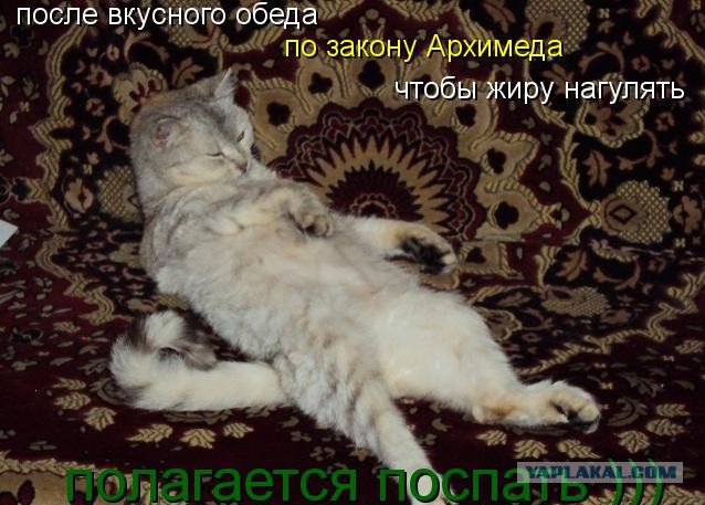 Топ-25 Табу в употреблении пищи