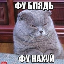 Ребята, кто это? Что это?