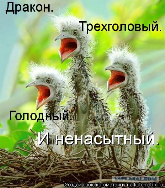 Добряки, плюсующие всех подряд