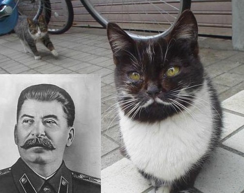 Так, что здесь происходит