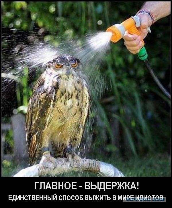 Демотиваторов пост, добавляйте свои