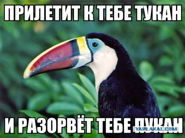 Свежие картинки из сети