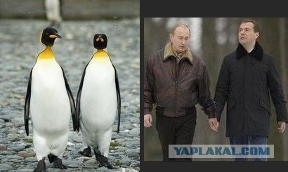 Как изменились звезды за десятилетия