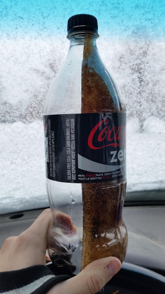 Весёлые картинки