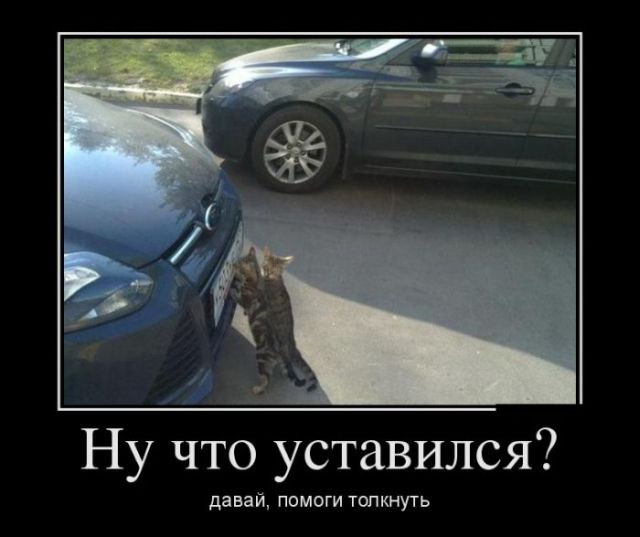 Давно демотиваторов не было