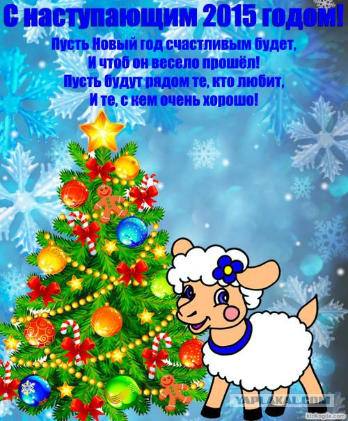 Финал кулинарного конкурса "Шеф-повар 2014"