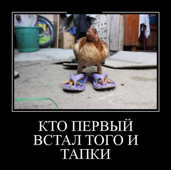 Демотиваторов пост