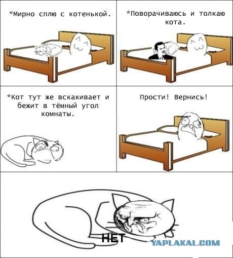 Погладь кота!