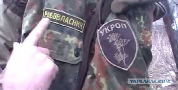 Донбасс. Возвращение домой...