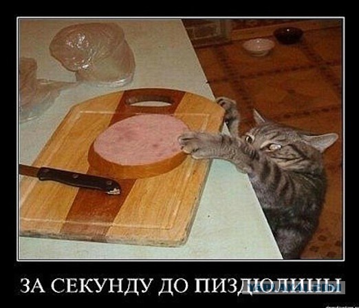За секунду до
