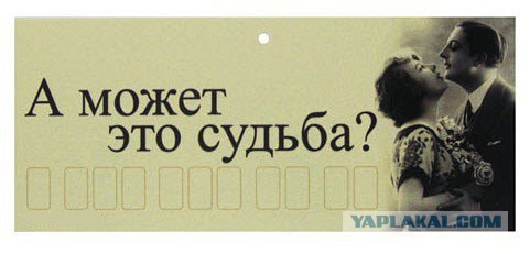 Открытки, с номером телефона в машину.
