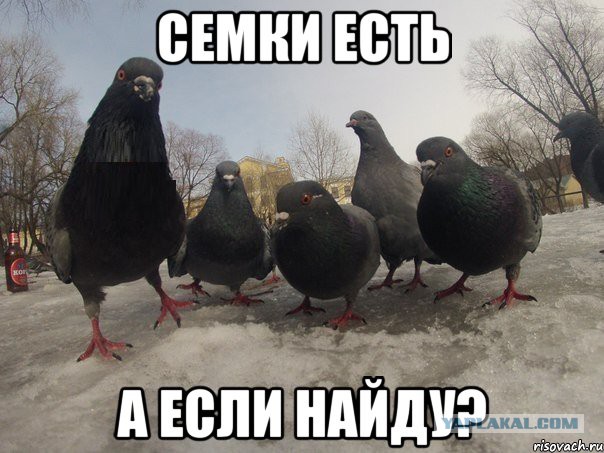 "Мама отправила меня в магазин вчера вечером..."