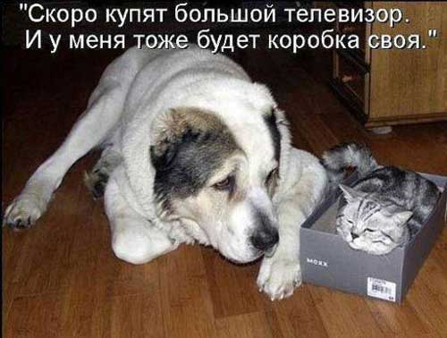 Для кого-то строчка в жизни