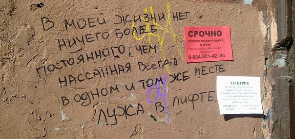 Ужасы и приколы из соцсетей 18+