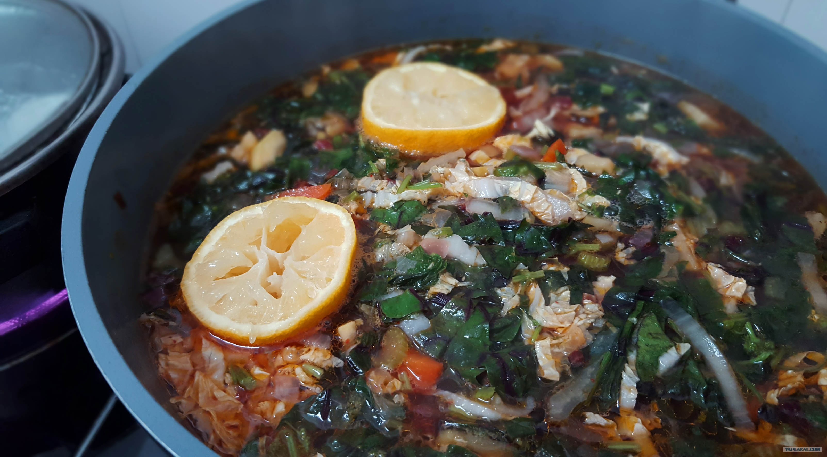 щавель щи щавелевые щи. борщ с щавелем. зеленый борщ без мяса. суп с щавелем. зеленый борщ без мяса.