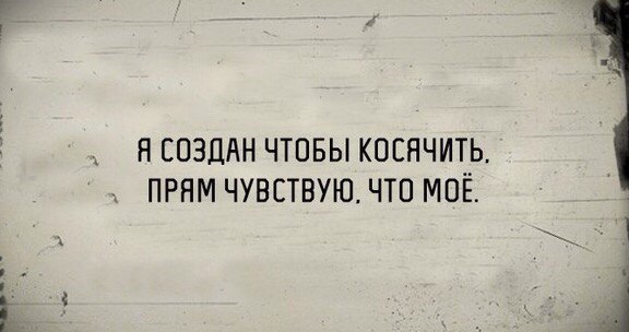 Веселые картинки