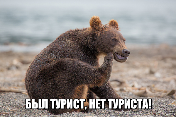 Подборка картинок из сети
