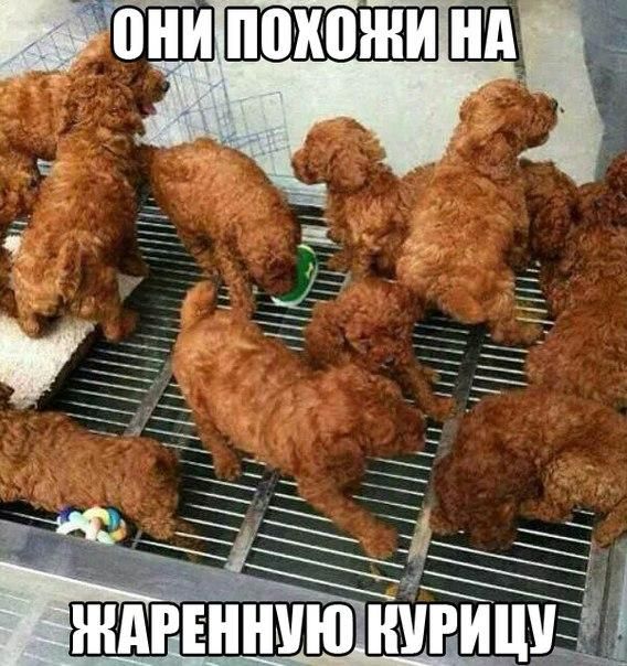 Новая подборка картинок