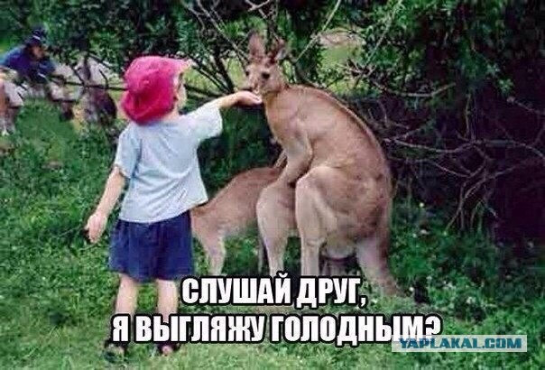 Сетевые картинки улыбательновозбуждающие