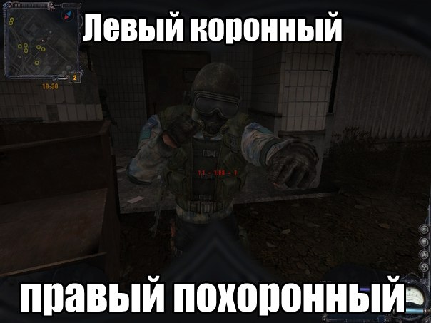 Фанатам игры С.Т.А.Л.К.Е.Р посвящается