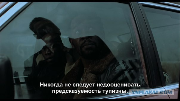 Этим фото сказано всё!